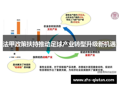 法甲政策扶持推动足球产业转型升级新机遇